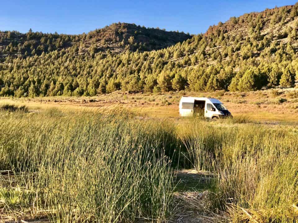 Blooming Where Planted – musings from vanlife